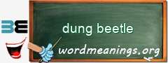 WordMeaning blackboard for dung beetle